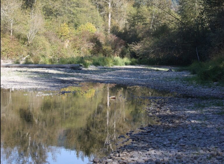 New weir for drought-threatened Vancouver Island river still more than 2 years away