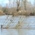 Seven people missing in France after floods wash vehicles away