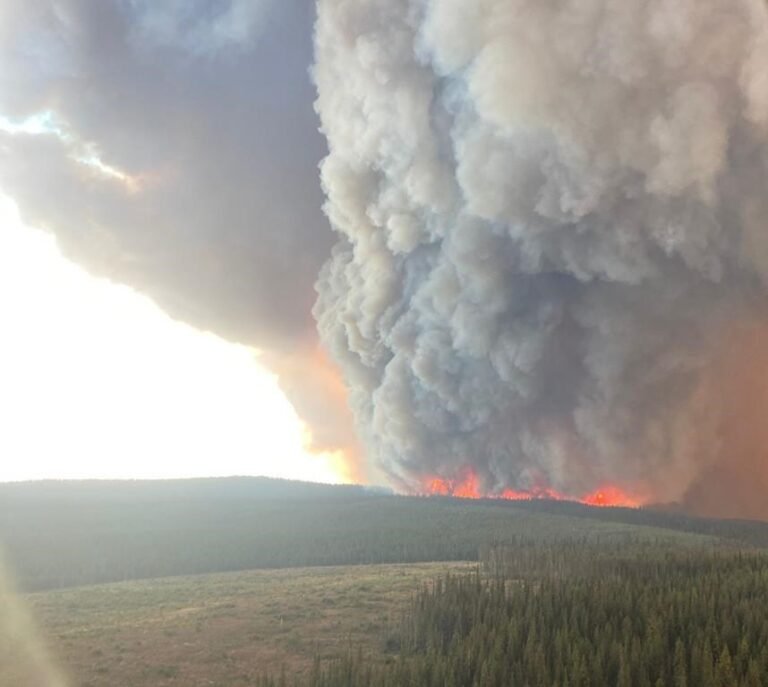 Canada primed for more severe wildfire days, driven by dry forest fuel: Study