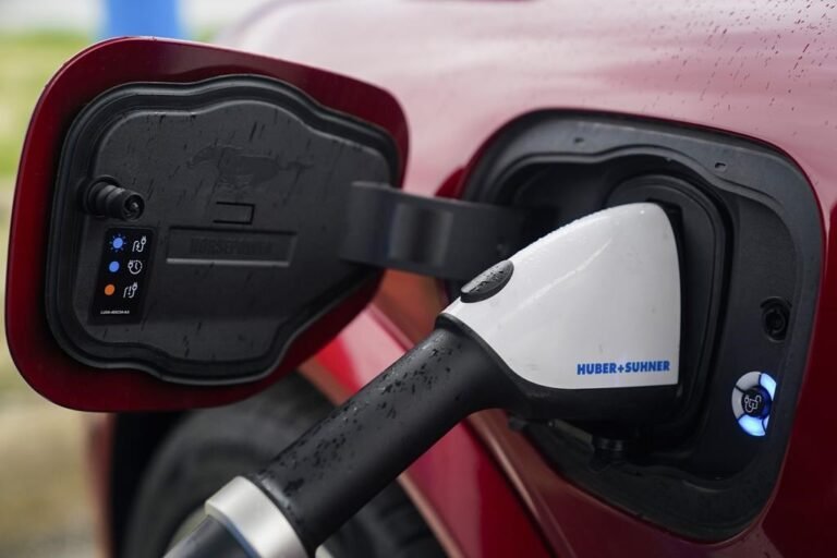 EV sales mandates should end after federal rebates paused, automakers say