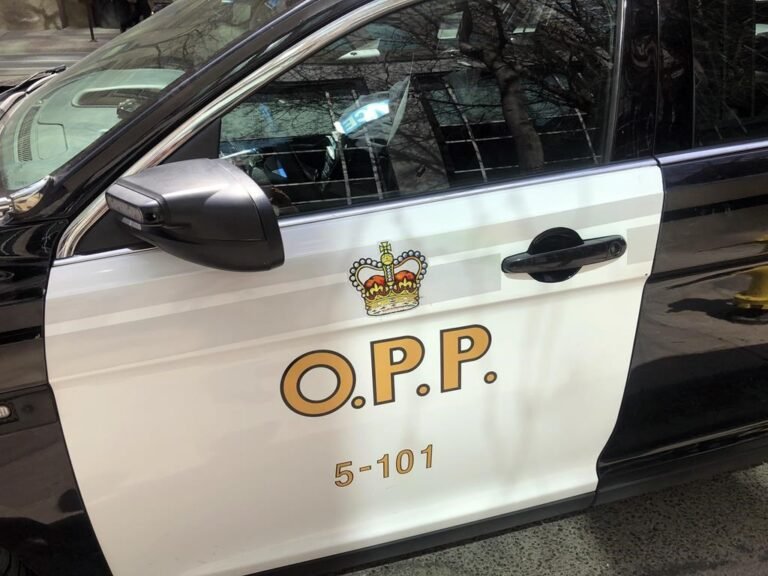 Napanee man charged with impaired driving after traffic complaint