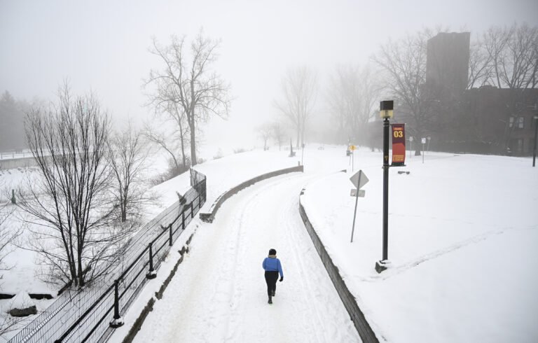 From industrial highway to developer’s paradise, Montreal’s Lachine Canal turns 200