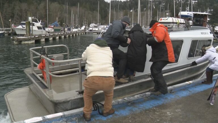 ‘Part of island life’: Commuters making the best of Bowen ferry outage