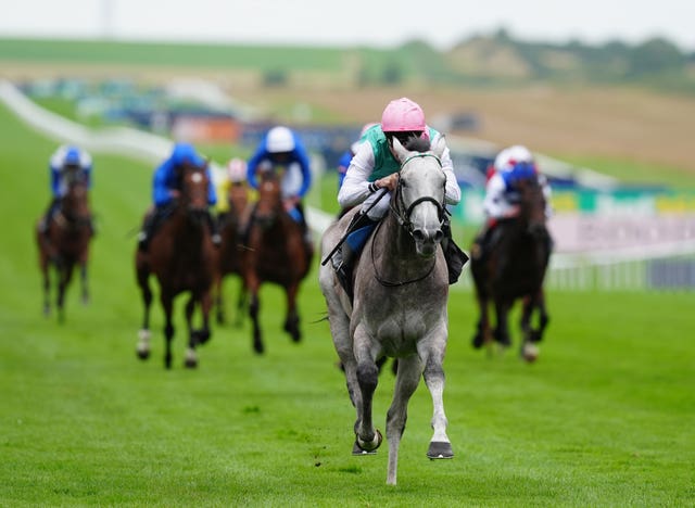Field Of Gold has impressed throughout his career to date