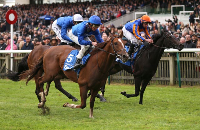 Shadow Of Light ridden by William Buick (left) and Expanded (right) are amongst Field Of Gold's rivals