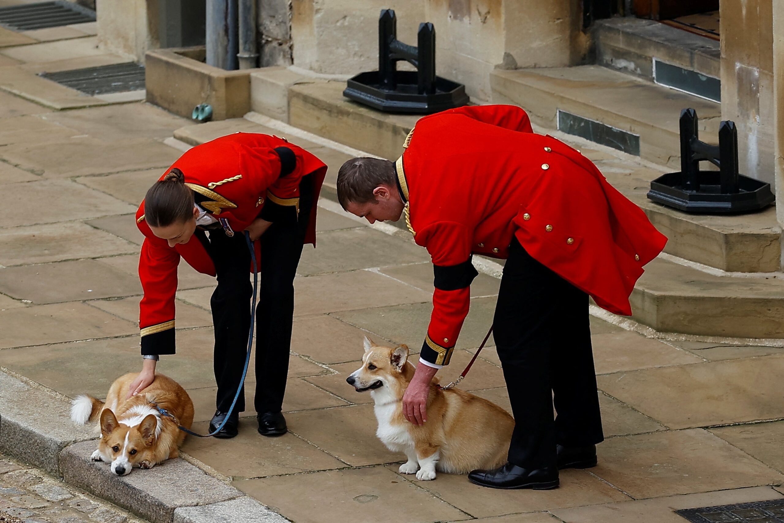One of the images of the Queen’s funeral showed the two corgis in attendance.