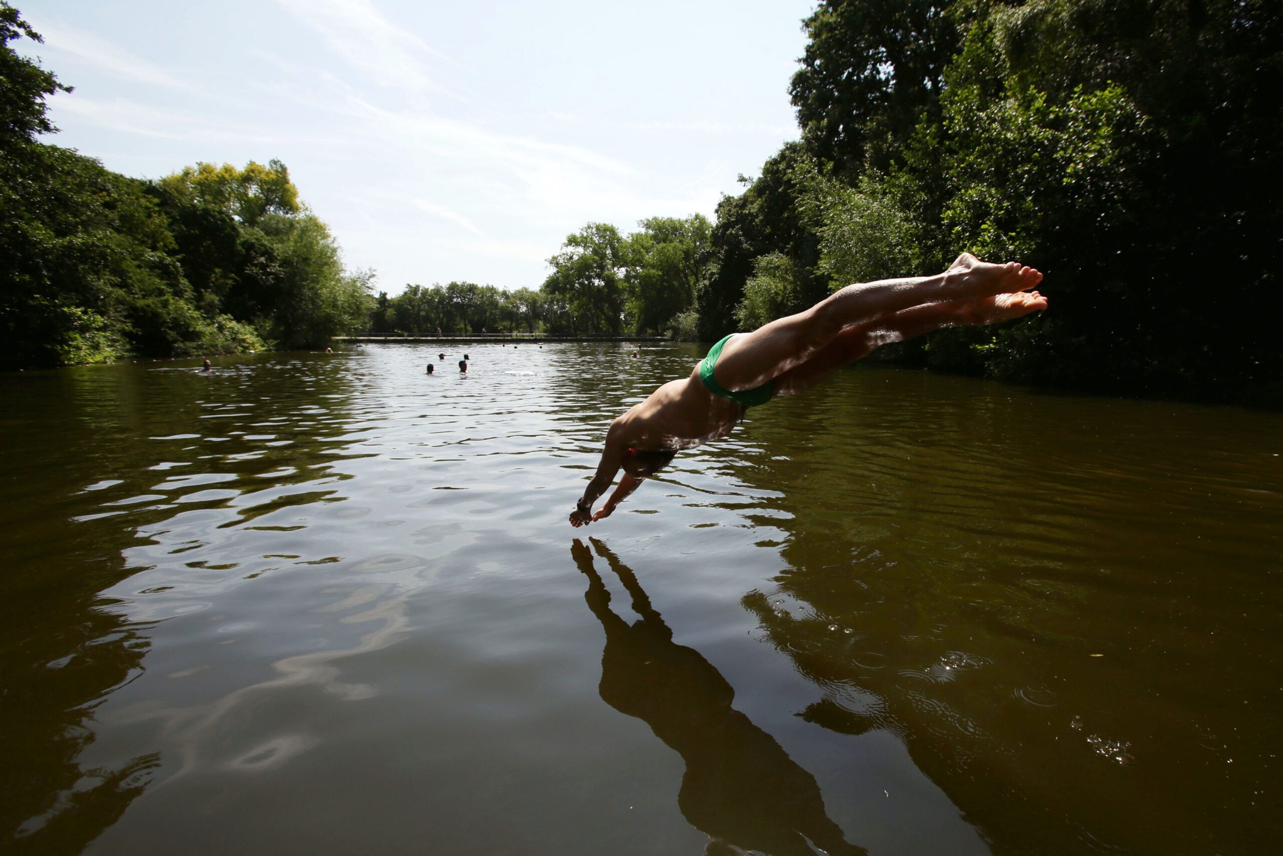 A swimmer diving into the water at the mixed bathing ponds in Hampstead Heath, London