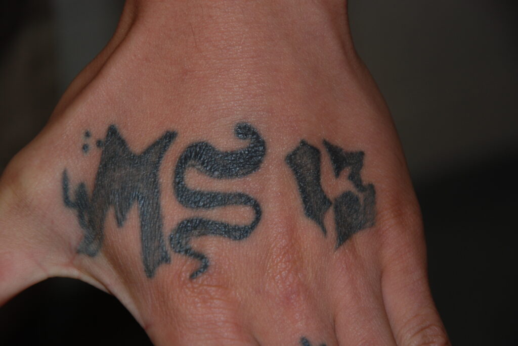 Tattoos typically worn by MS-13 members like Alejandro Gonzales