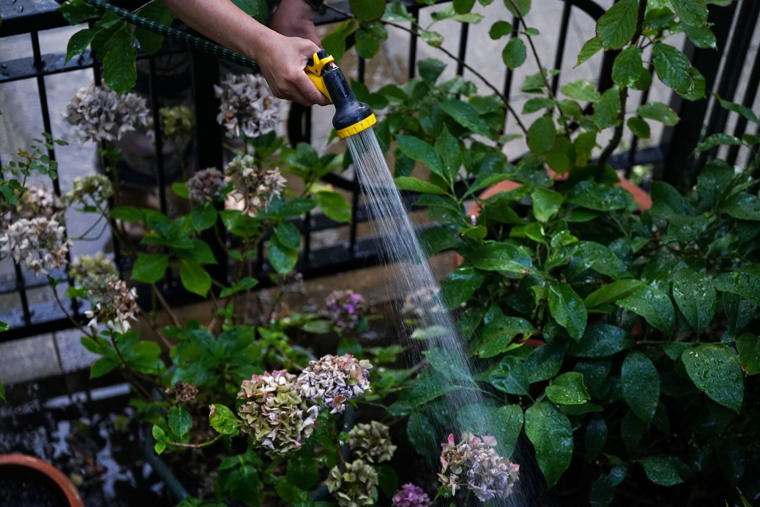 The Environmental Agency has met to consider whether water companies need to introduce measures such as a hosepipe ban in some regions (Yui Mok/PA)