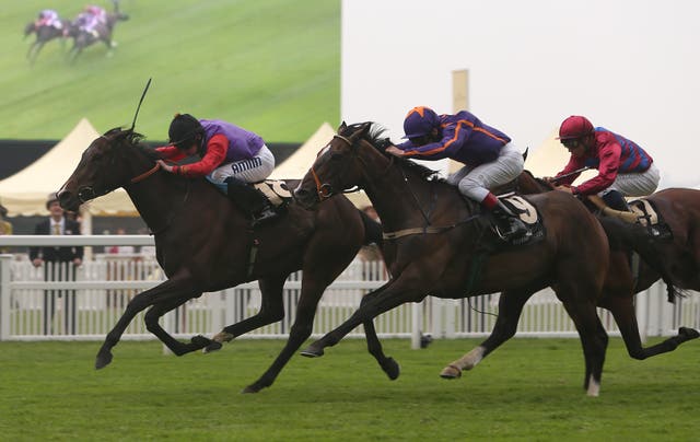 Estimate (left) edged out Simenon to win the Gold Cup in 2013