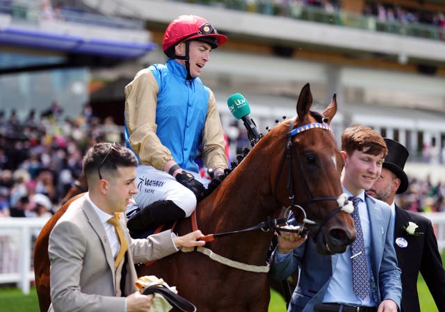 Shareholder won last year's Norfolk Stakes