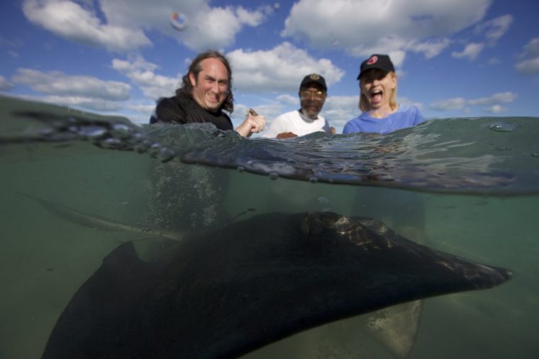 This image and the information contained herein is strictly embargoed until 00:01 Tuesday 8th July 2025 From Plimsoll Productions Shark! Celebrity Infested Waters: SR1 Ep1 on ITV1 and ITVX Pictured: Ross, Lenny & Rachel with a Stingray This photograph is (C) ITV Plc/Plimsoll Productions and can only be reproduced for editorial purposes directly in connection with the programme or event mentioned above, or ITV plc. This photograph must not be manipulated [excluding basic cropping] in a manner which alters the visual appearance of the person photographed deemed detrimental or inappropriate by ITV plc Picture Desk. This photograph must not be syndicated to any other company, publication or website, or permanently archived, without the express written permission of ITV Picture Desk. Full Terms and conditions are available on the website www.itv.com/presscentre/itvpictures/terms