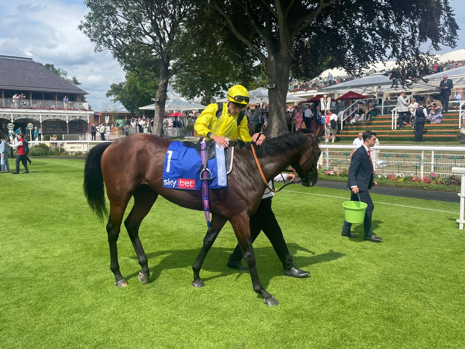 Almaqam was no match for Royal Champion