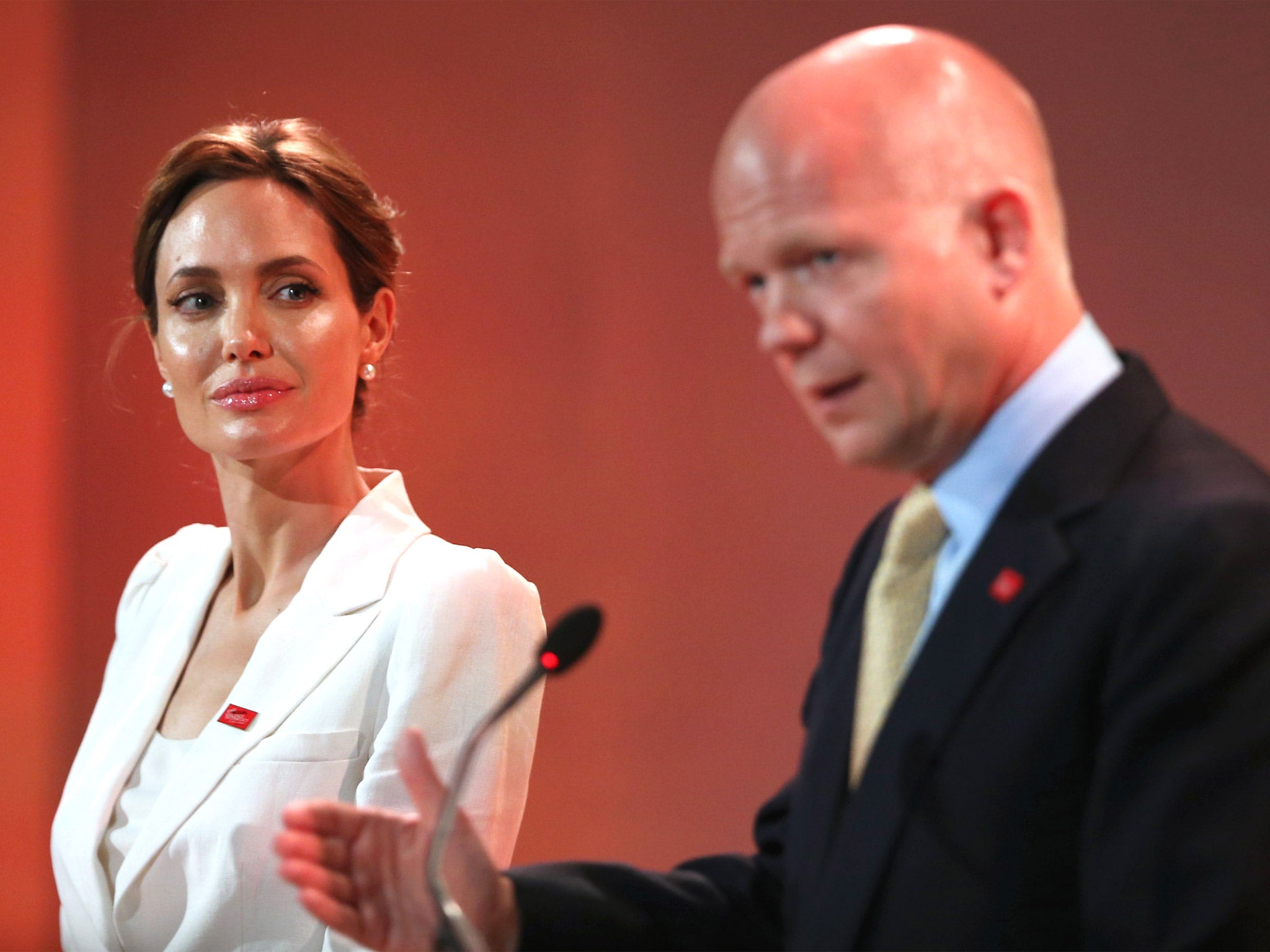 William Hague launched the initiative championed by Angelina Jolie