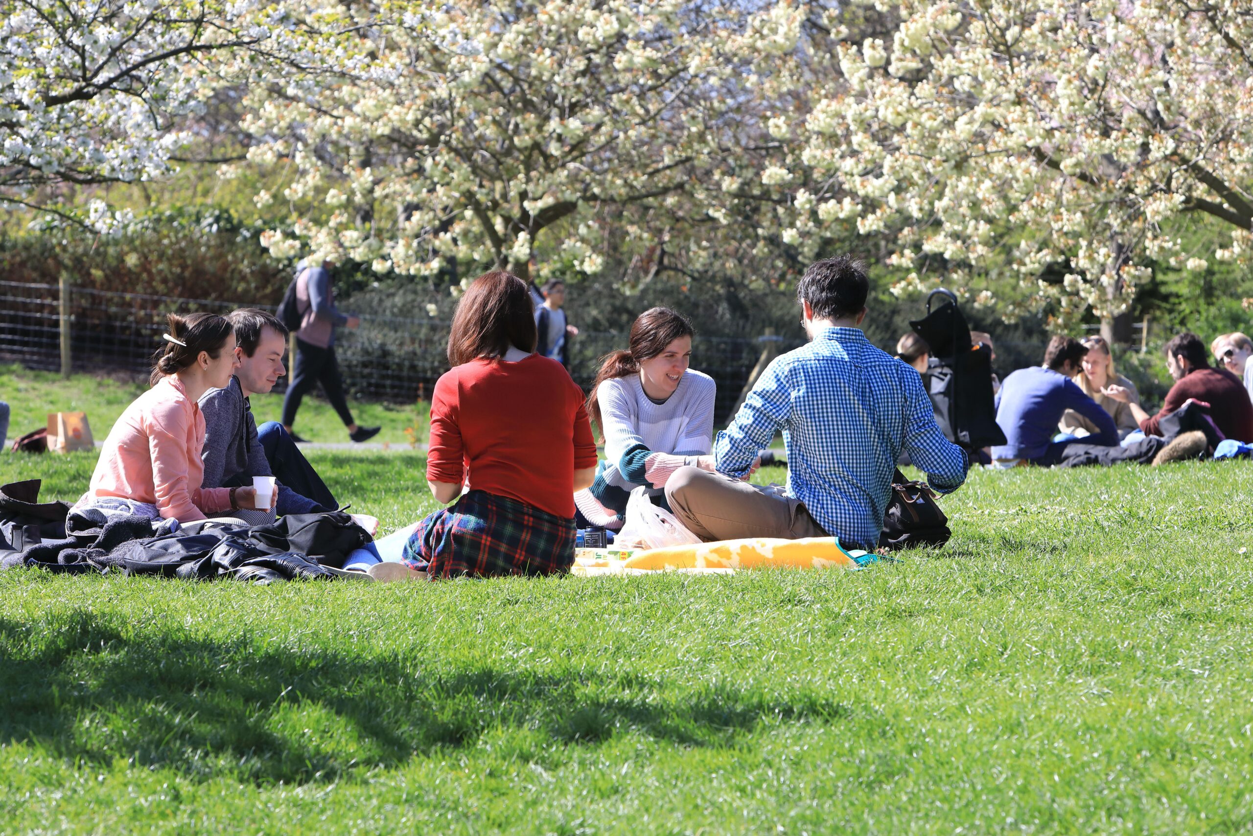 Wasps are apparently arriving at picnics earlier this year