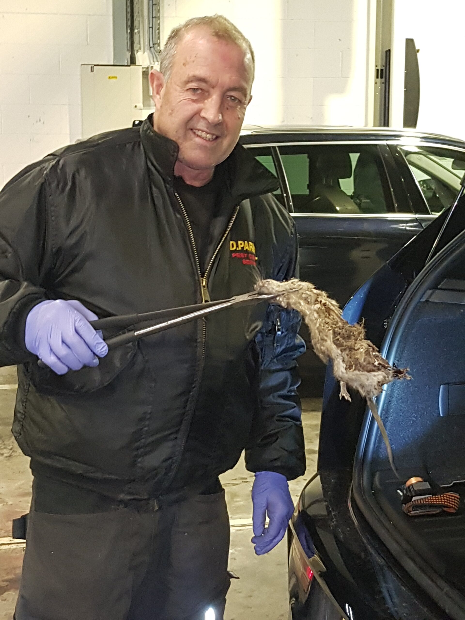 Pest controller David Parnell finds call-out for rat infestations are on the increase