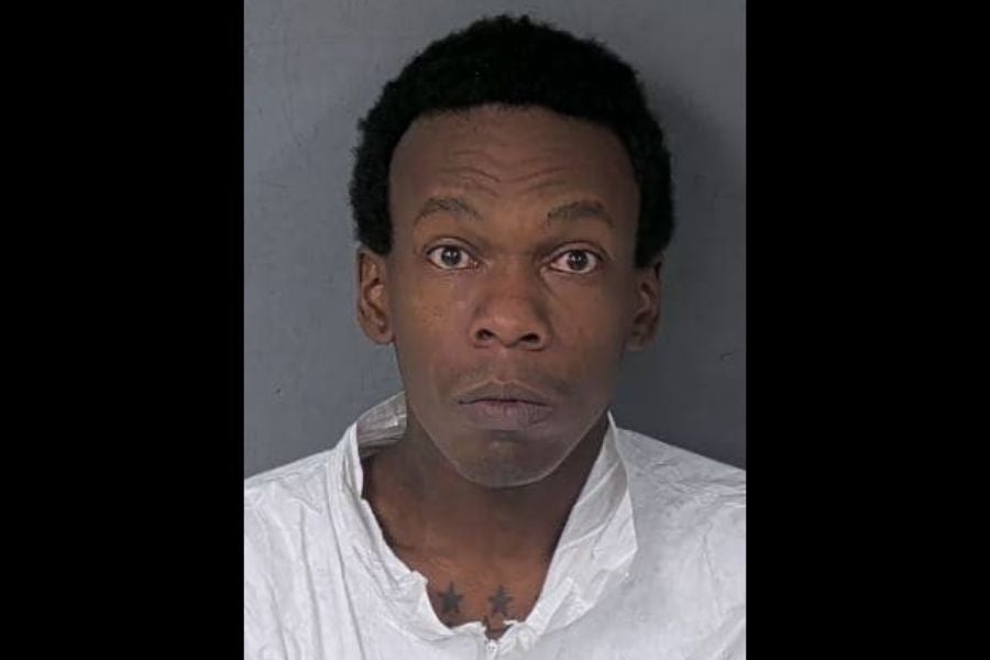 Quaze Lavarn Simmons, 36, was charged with attempted murder for allegedly running over an elderly man on a Florida road following a fight with his mother