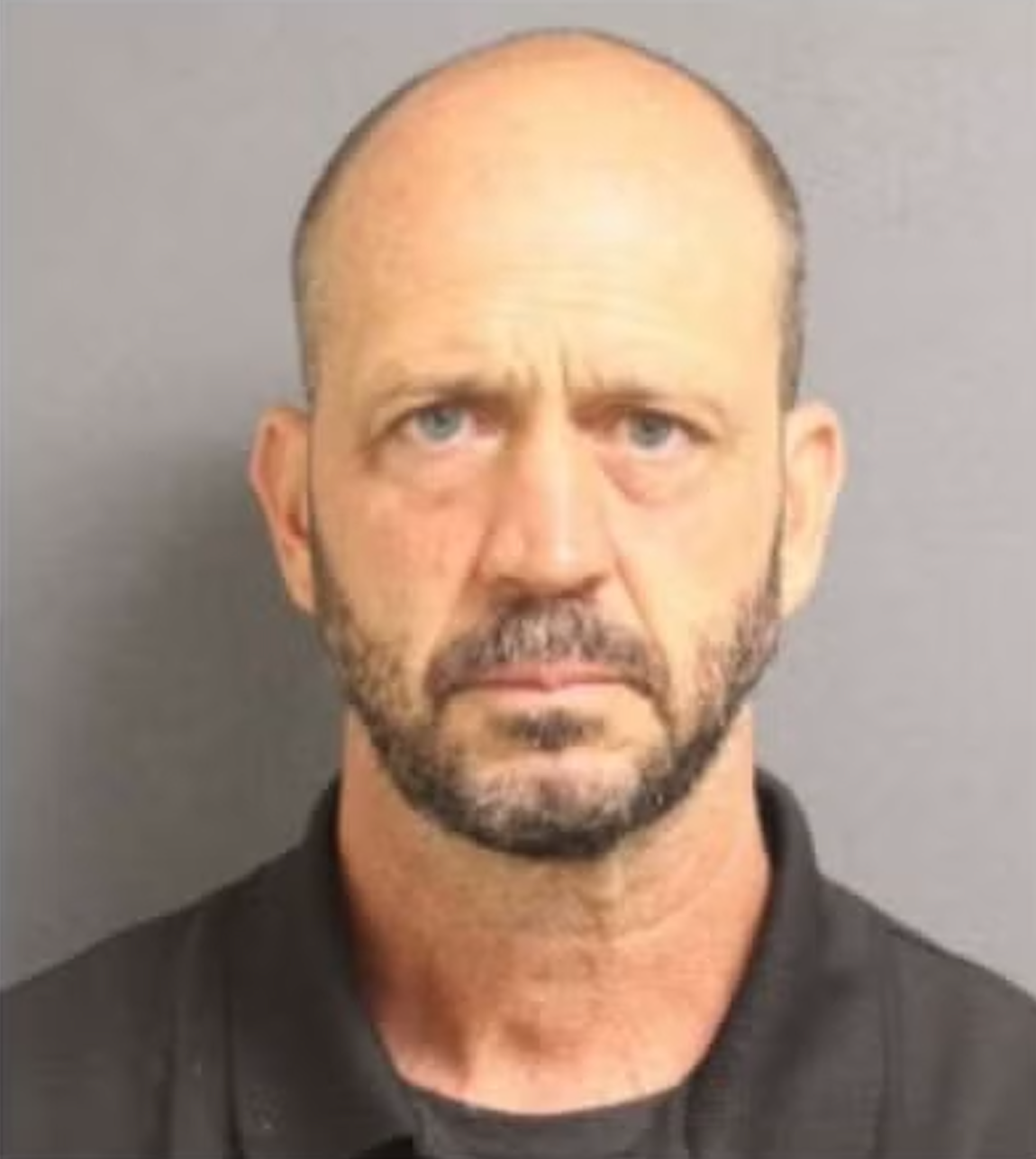Robert Palulis, 48, was also arrested and charged with the same 22 counts