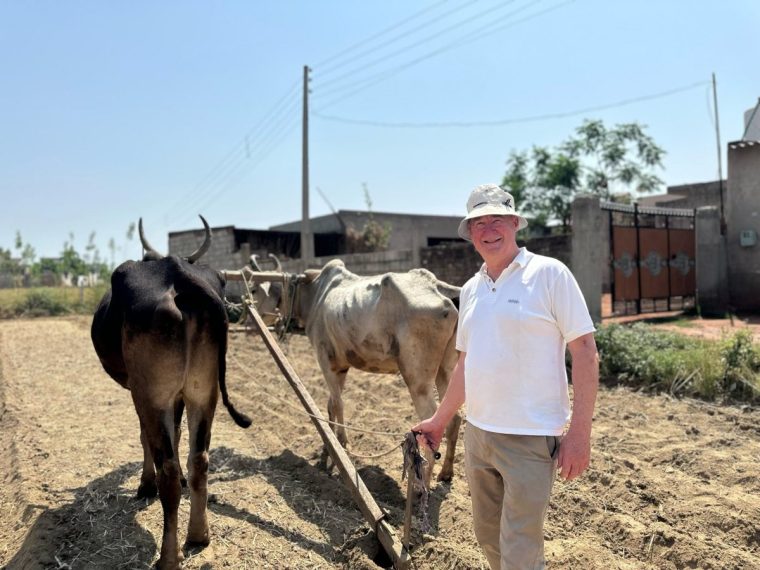 Peter in a field ploughing the ground with two cows