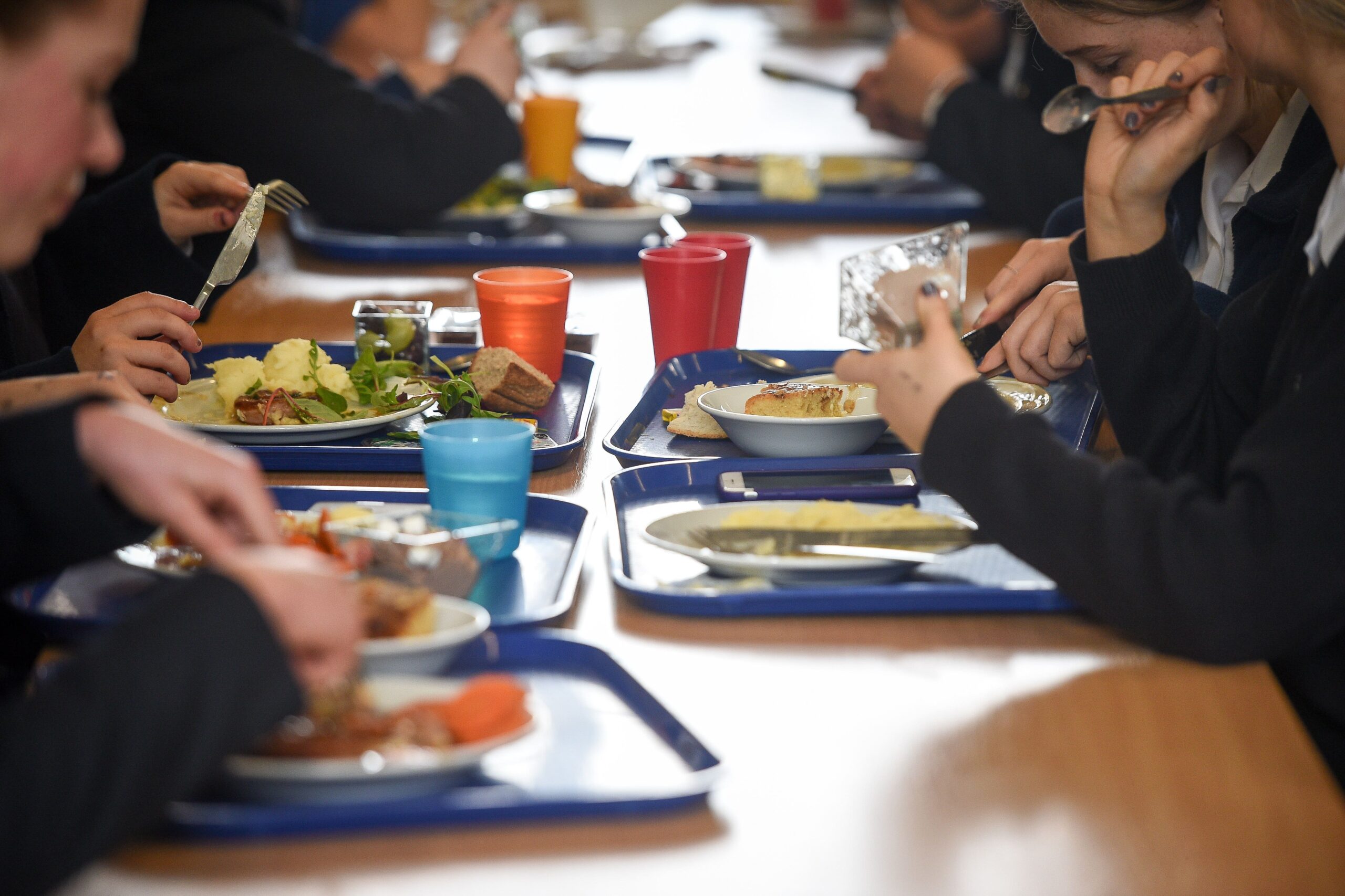 The study analysed several factors, including parental income, education, occupation, and financial hardship