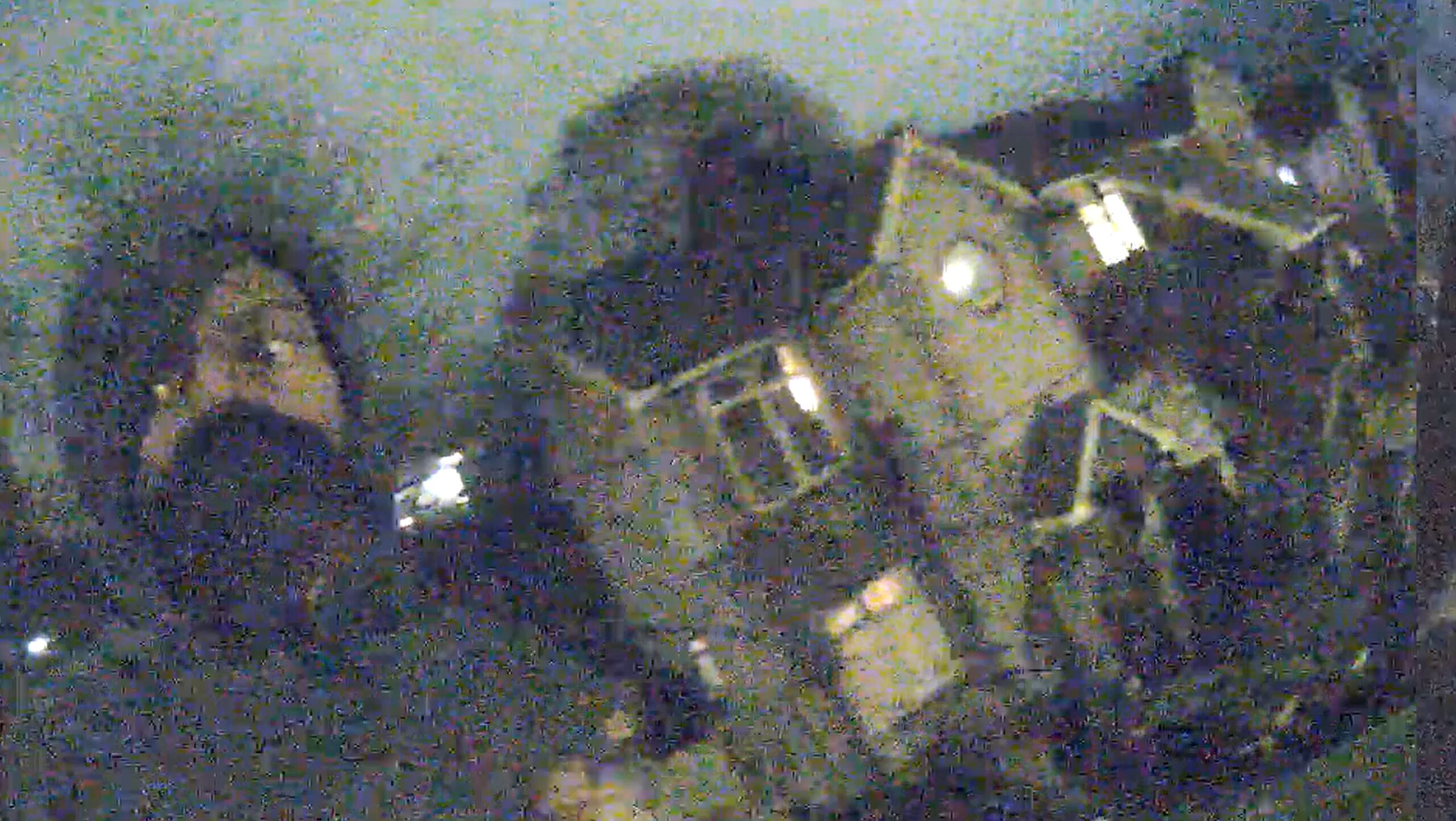 The moment Mark Gordon was arrested in the street in Brighton