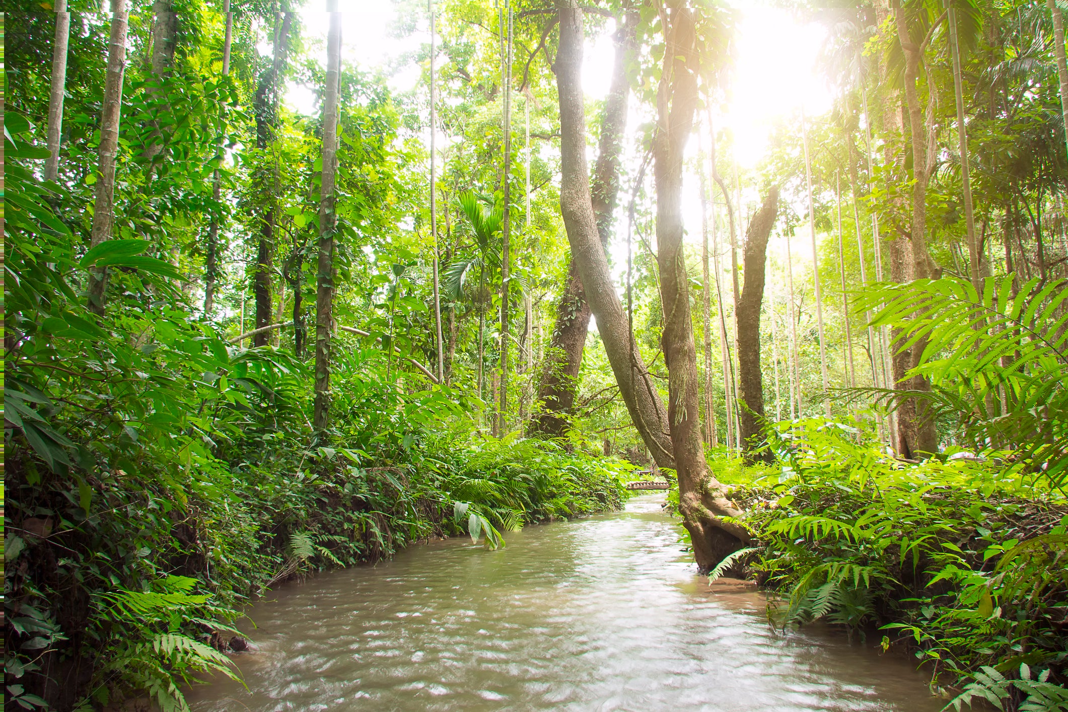 A Texas woman who was reported missing by her family has been found living among a lost ‘African’ tribe in a Scottish forest, according to a report.
