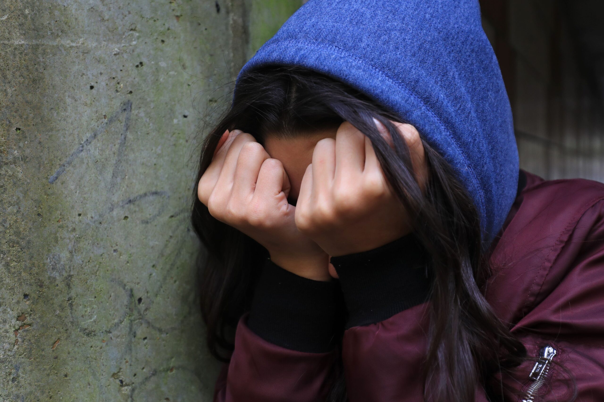 The domestic abuse commissioner has cast doubt on the government meeting its pledge to halve violence against women and girls in a decade