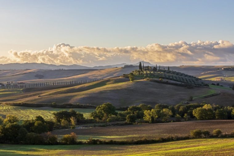 Italy, Tuscany, Castiglione Dorcia, Rolling landscape of Val dOrcia at dawn