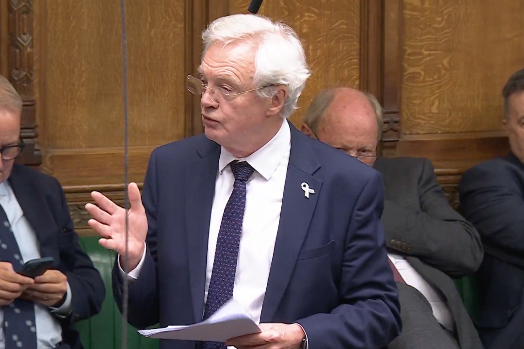 David Davis said Lord Mandelson’s links to Epstein had been “crystal clear”