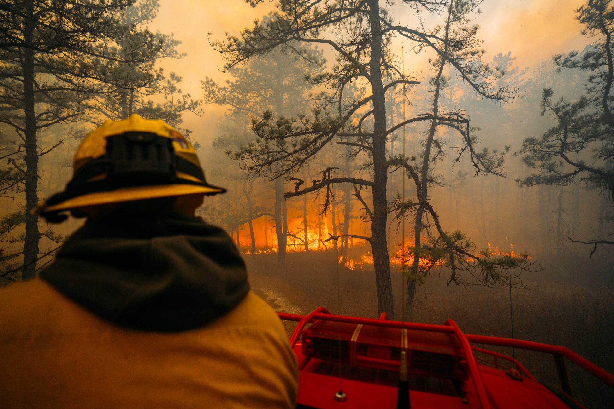 A firefighter looks on as the California Branch wildfire burns Saturday, March 22, 2025 in New Jersey's Wharton State Forest