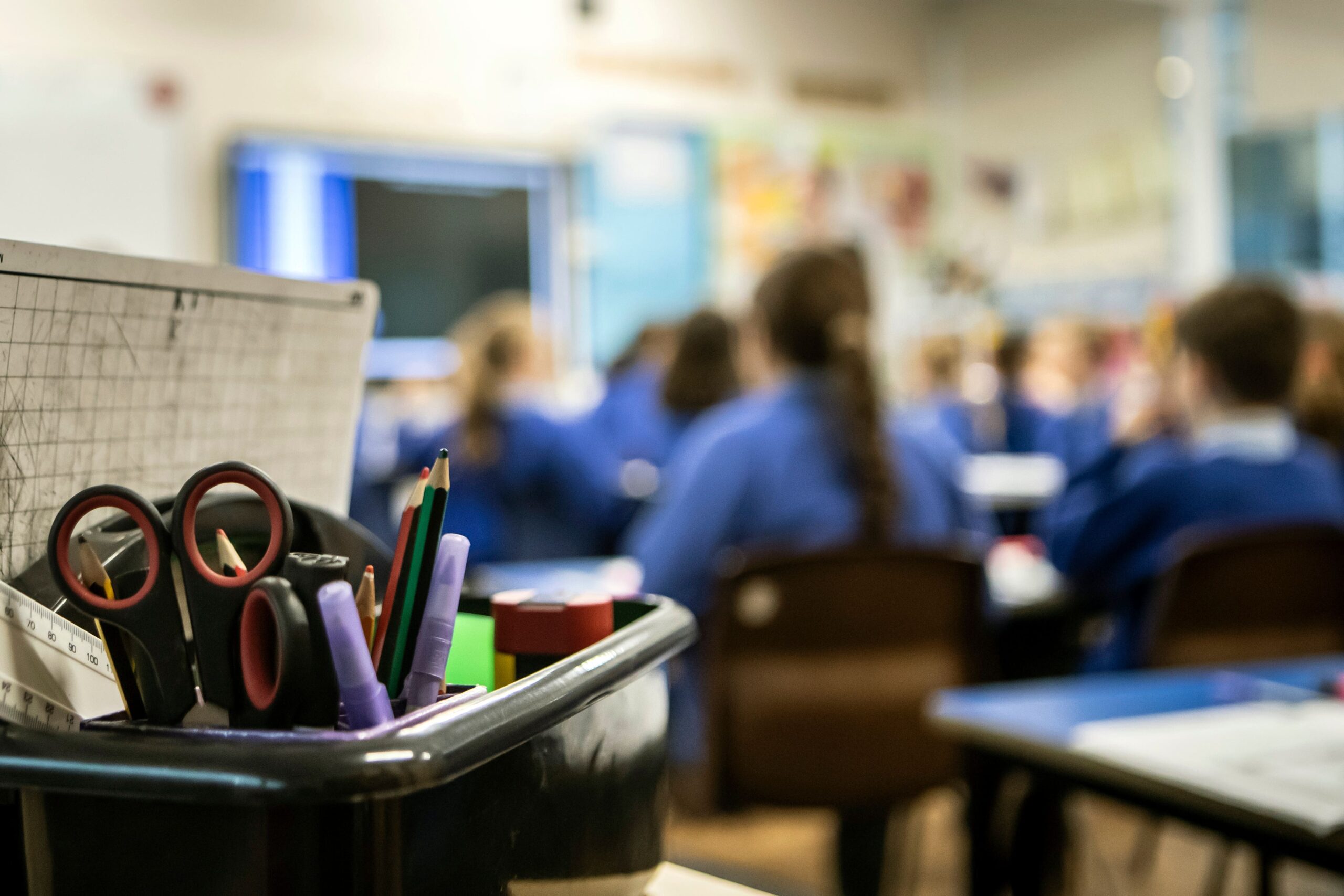 Students in Year 8 would undertake the tests, with their results shared directly with the Department for Education and Ofsted