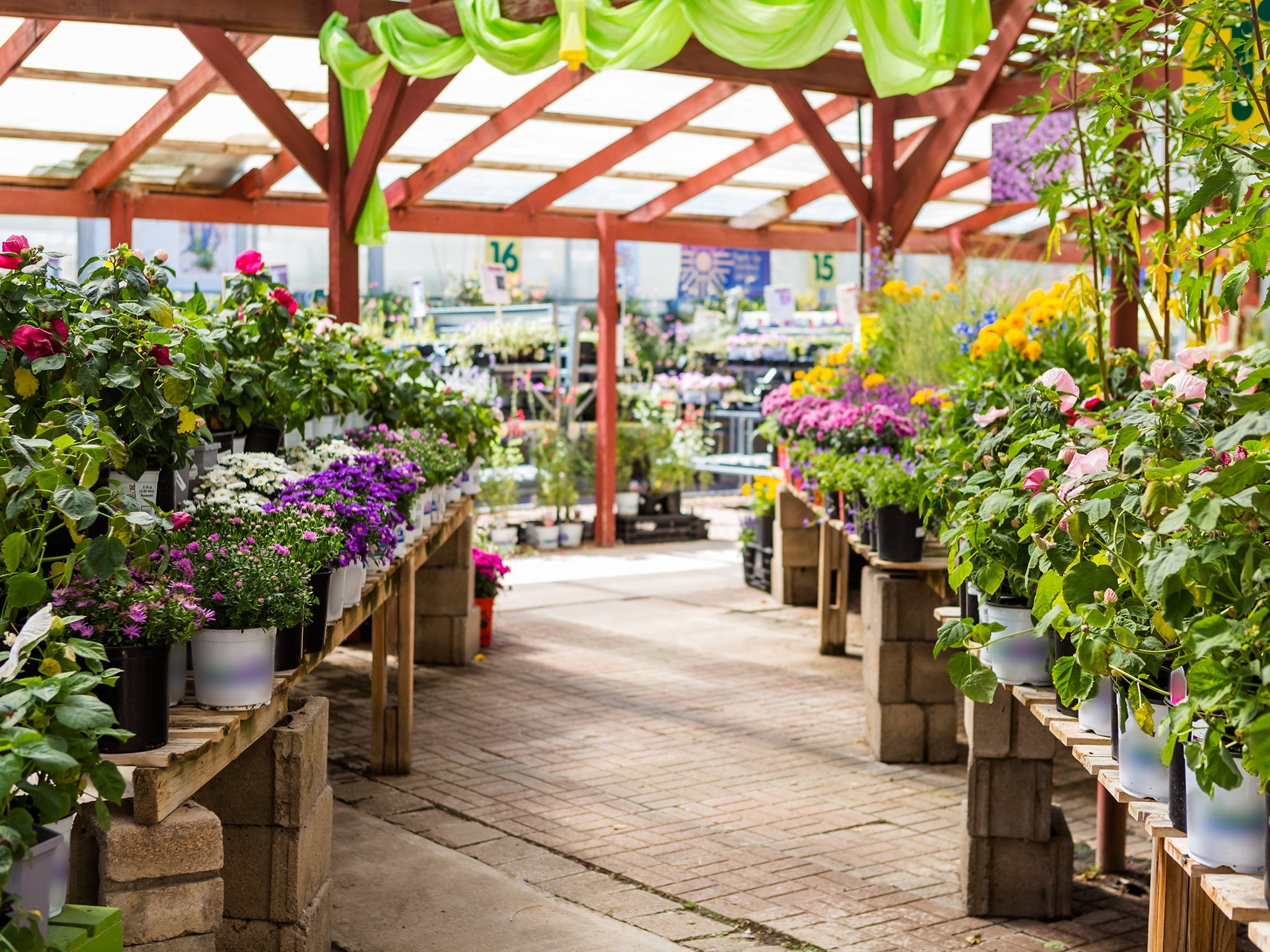DIY and gardening saw rising prices
