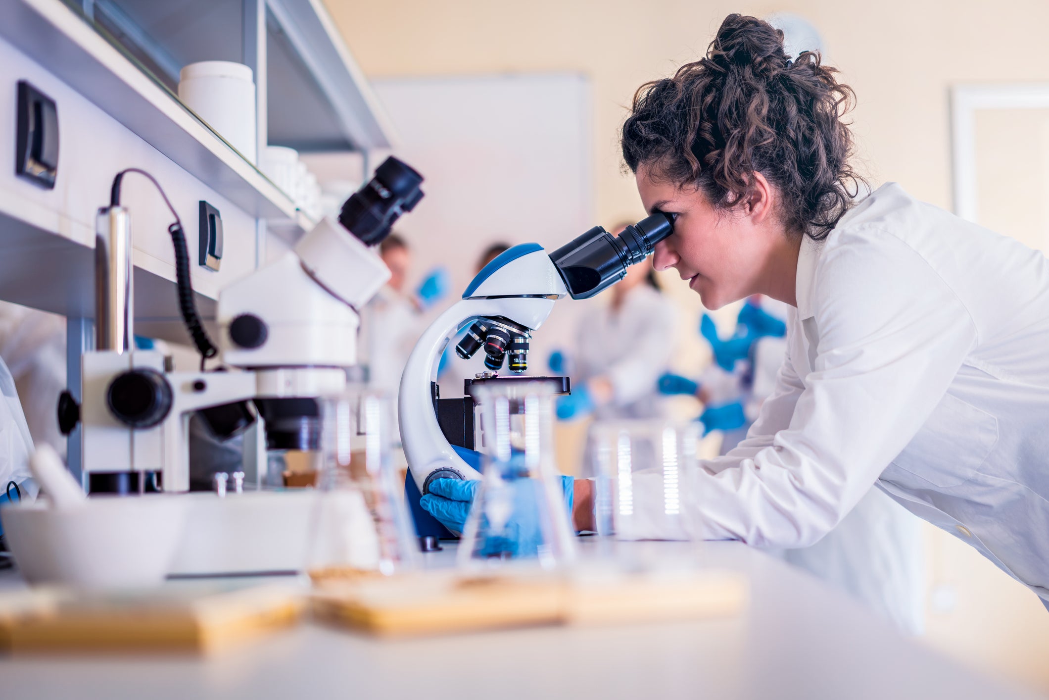 Enterobacter infections are notoriously difficult to treat and have been linked to over 200,000 deaths globally in 2019