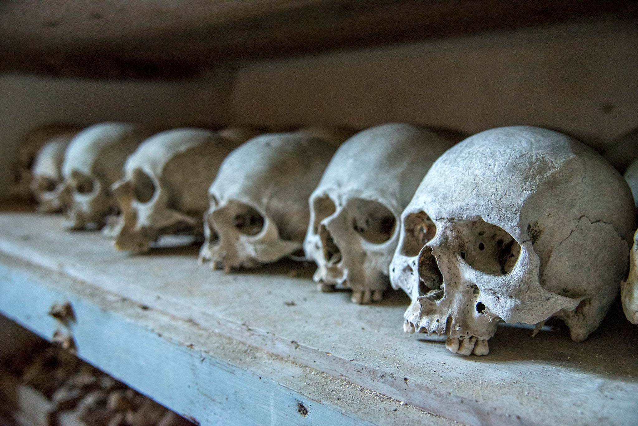 The million-year-old skull was discovered in China. Stock image