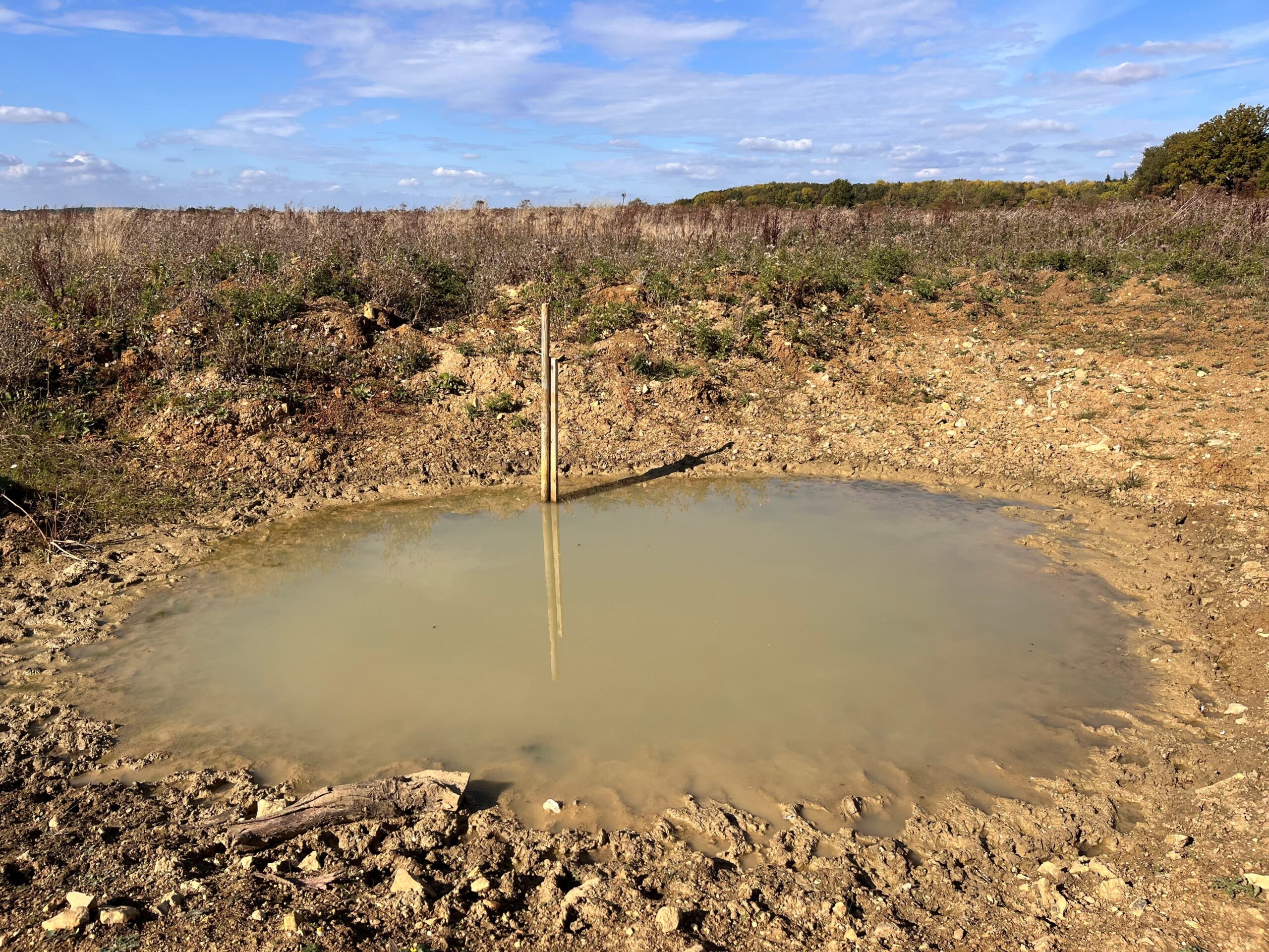Long-vanished âghost pondsâ have been reinstated, with protected great crested newts already detected using them