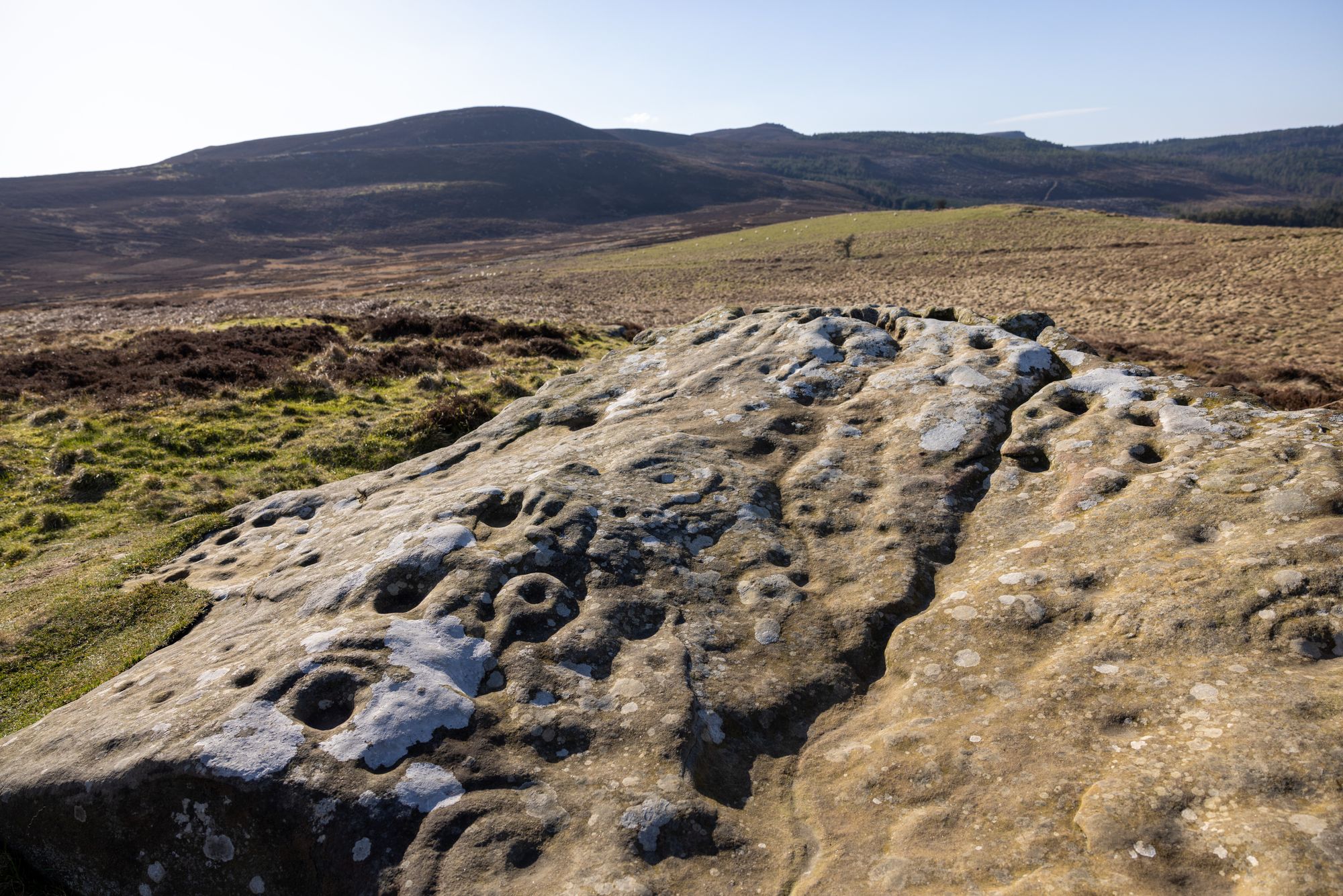 Northumberland Wildlife Trust chief executive Mike Pratt said the purchase of Rothbury Estate (pictured) was a “once-in-a-lifetime opportunity” to do something meaningful for nature at a large scale
