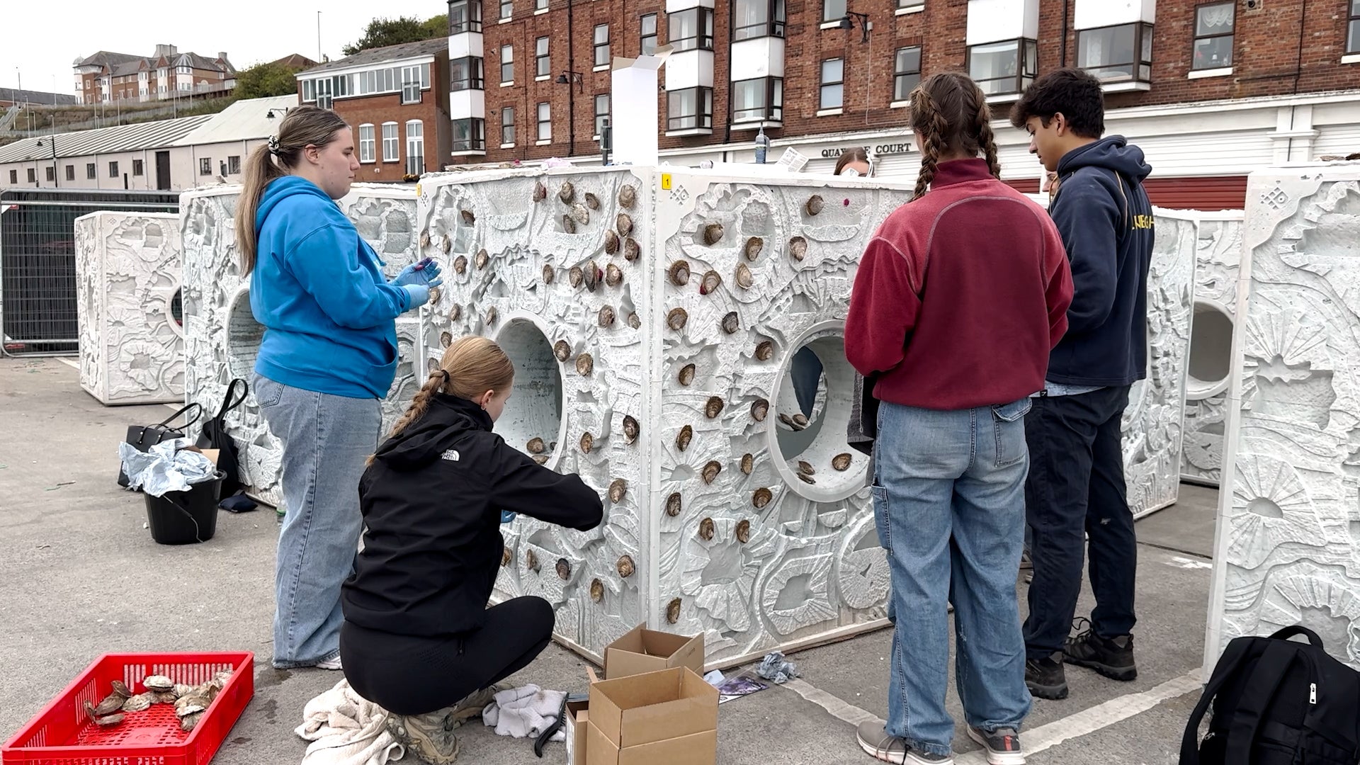 Volunteers attaching native oysters to the reef cubes