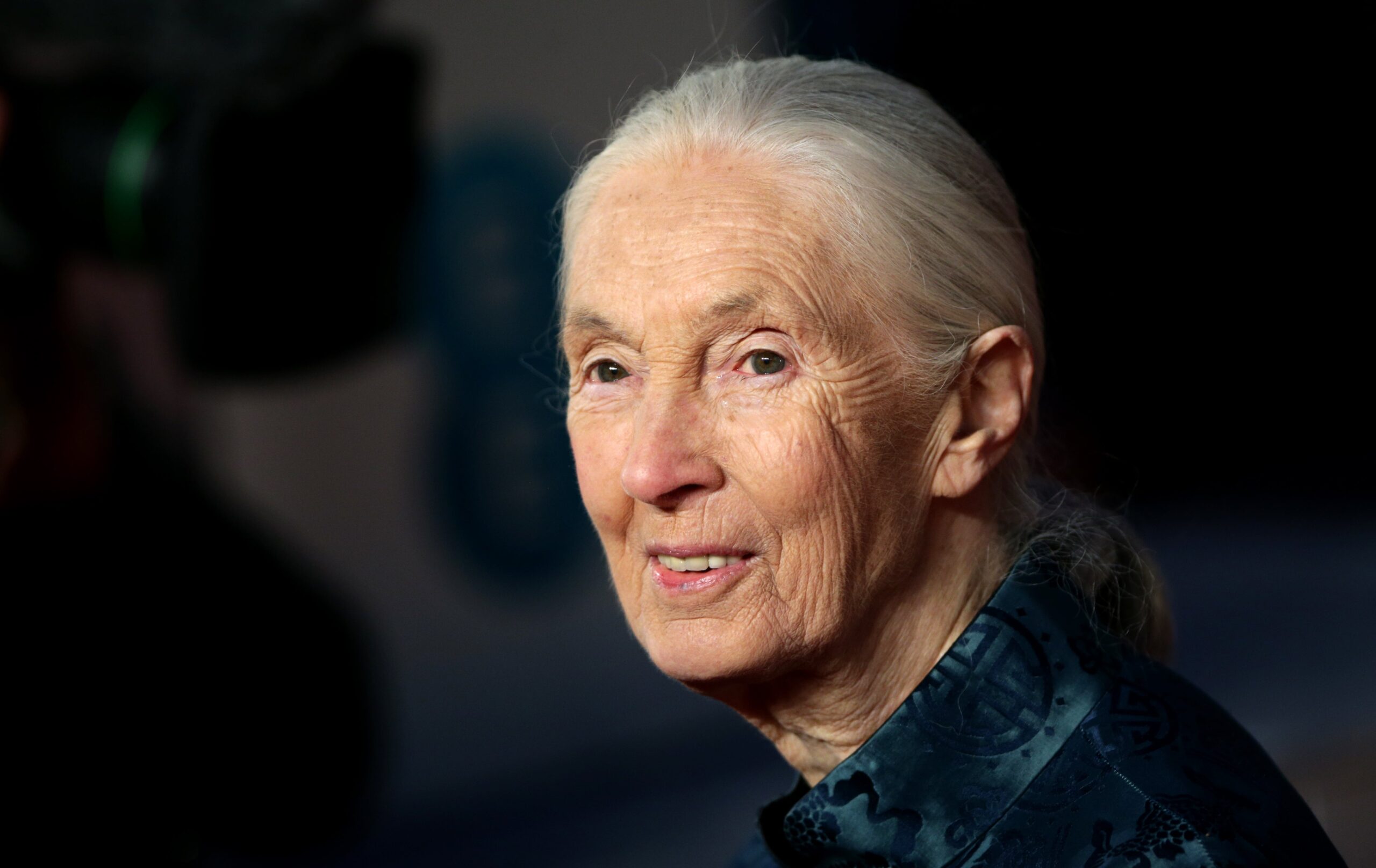 Dame Jane Goodall is said to have died from natural causes during a speaking tour in the US