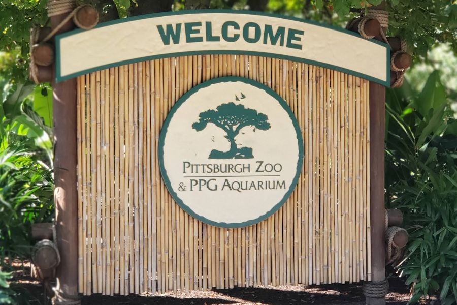 Pittsburgh Zoo officials said JoNoah Thomas’ alleged stunt of entering an elephant enclosure, endangered himself, visitors and the animal.