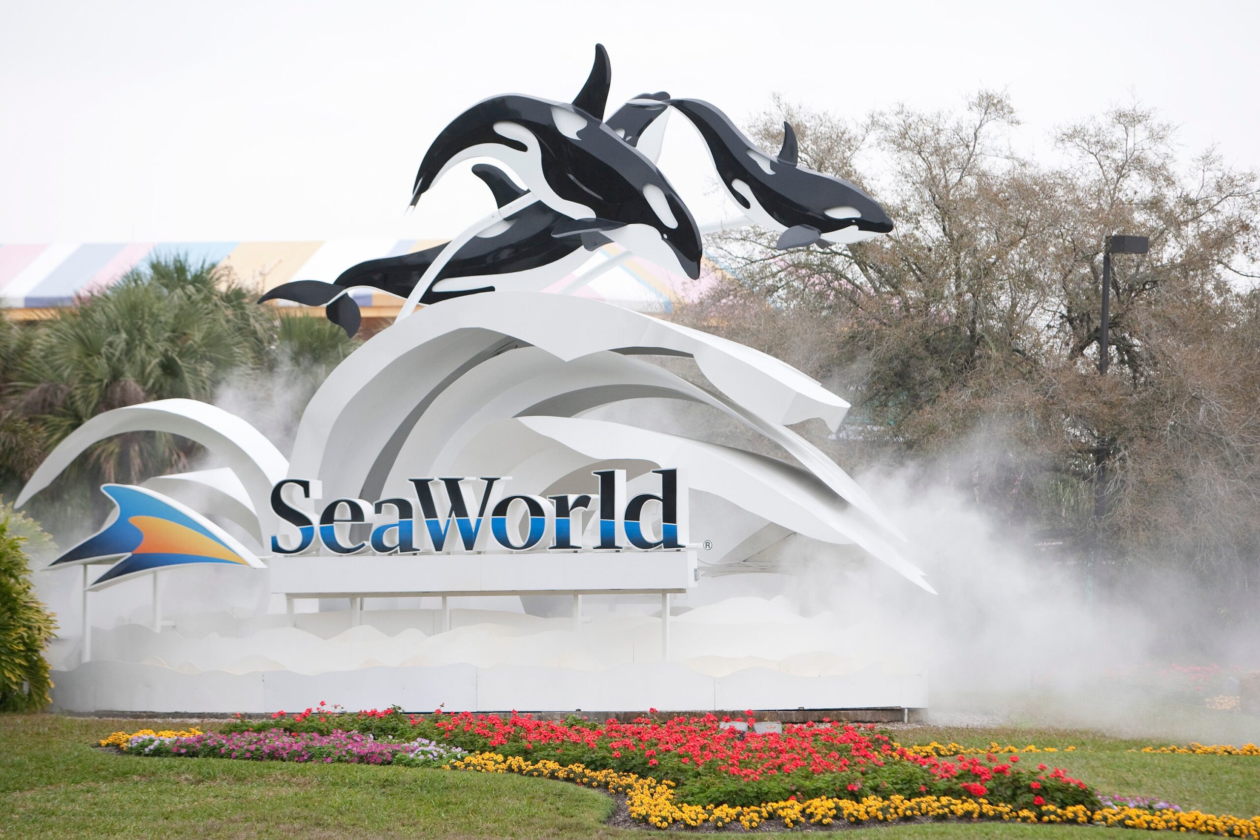 A Florida woman is accusing SeaWorld of failing to maintain safety by placing it’s well-known roller coaster over a body of water where waterfowl may flock to. She claims she was hit in the face by a duck while on a ride.