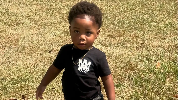 Kaimir Jones, two, was killed by two Rottweilers while left unattended at his babysitter’s house in Georgia over the weekend.