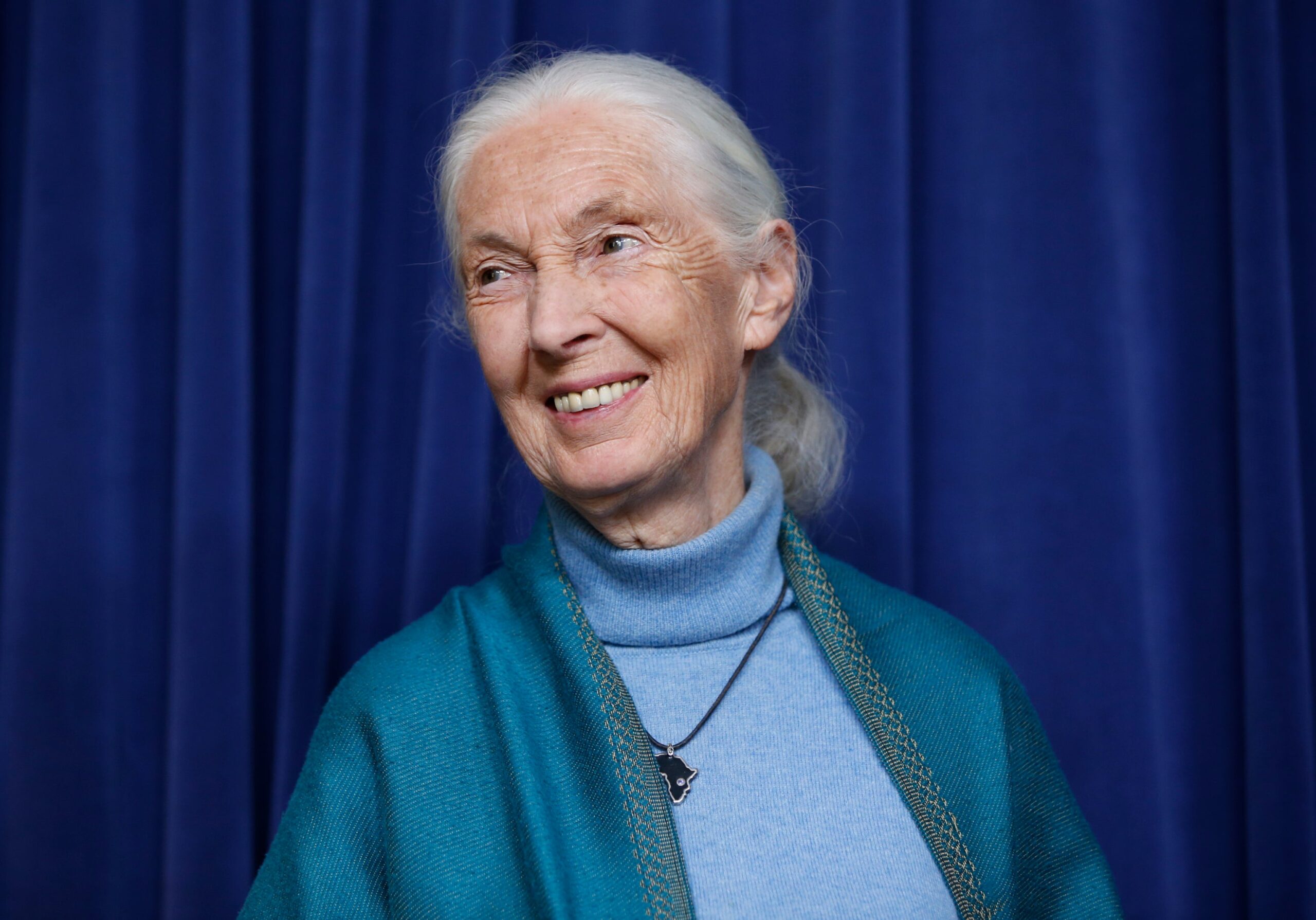 Jane Goodall was the subject of dozens of films and documentaries