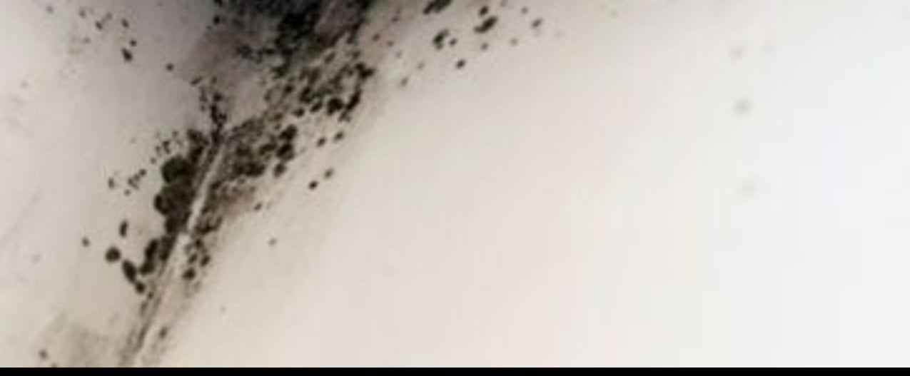 Mould inside Ms Mohamed’s bathroom