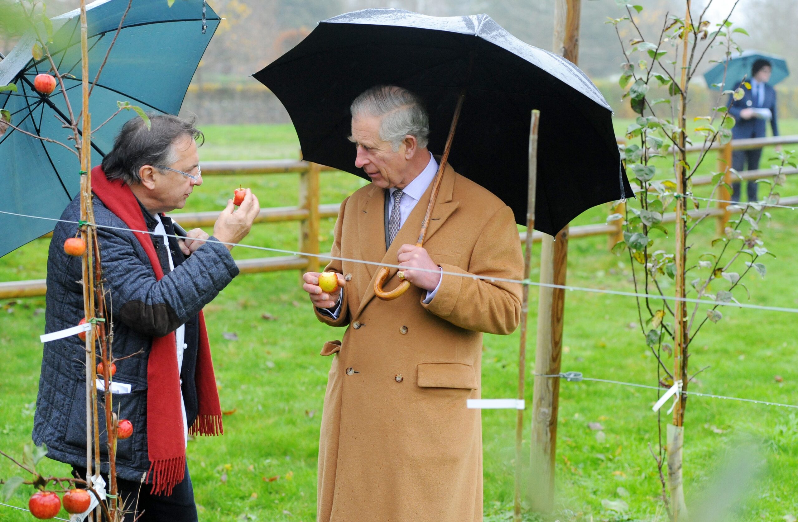 The documentary will feature the King’s own reflections on his lifelong commitment to promoting a sustainable world