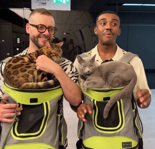 TFL wrote: 'This is your sign to start travelling with your pet around London'