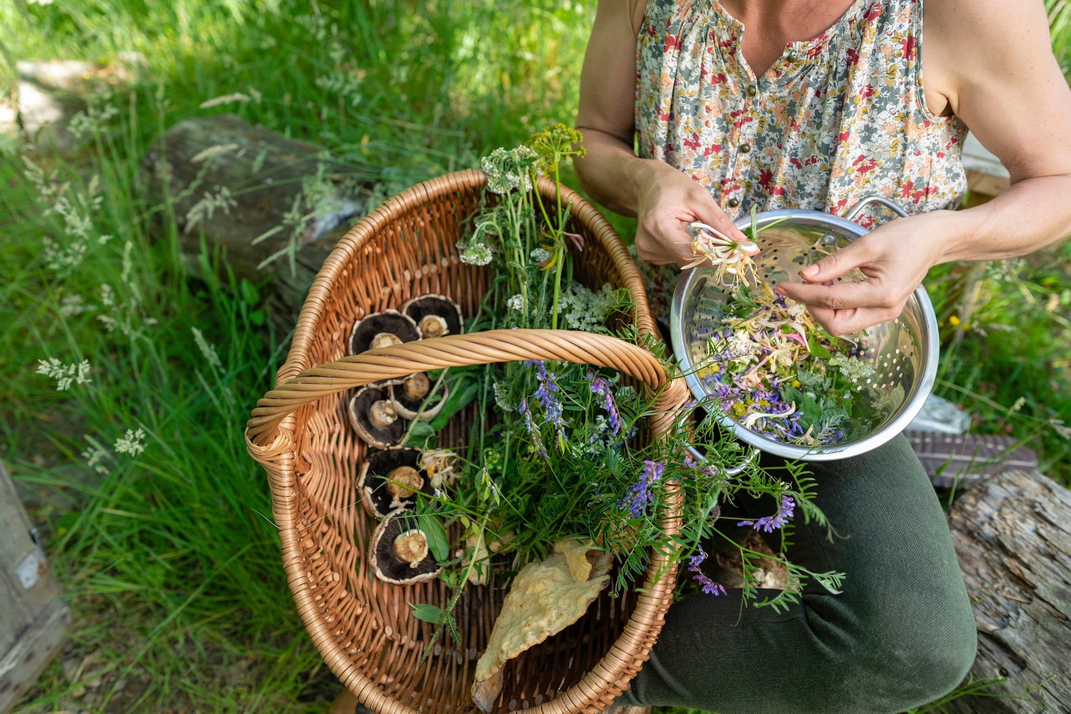 Foraging is not allowed on Wildlife Trusts’ estates
