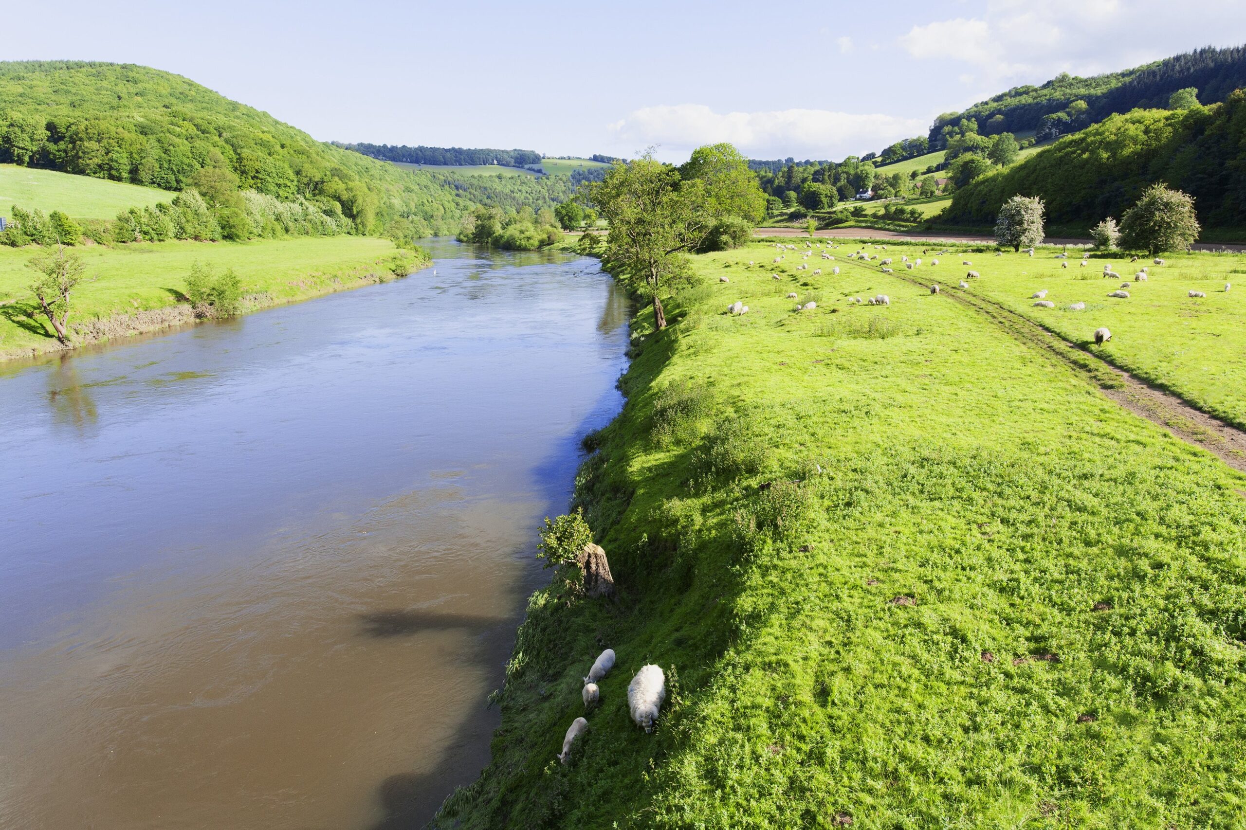 Both Avara and Welsh Water said it intended to defend the claims robustly