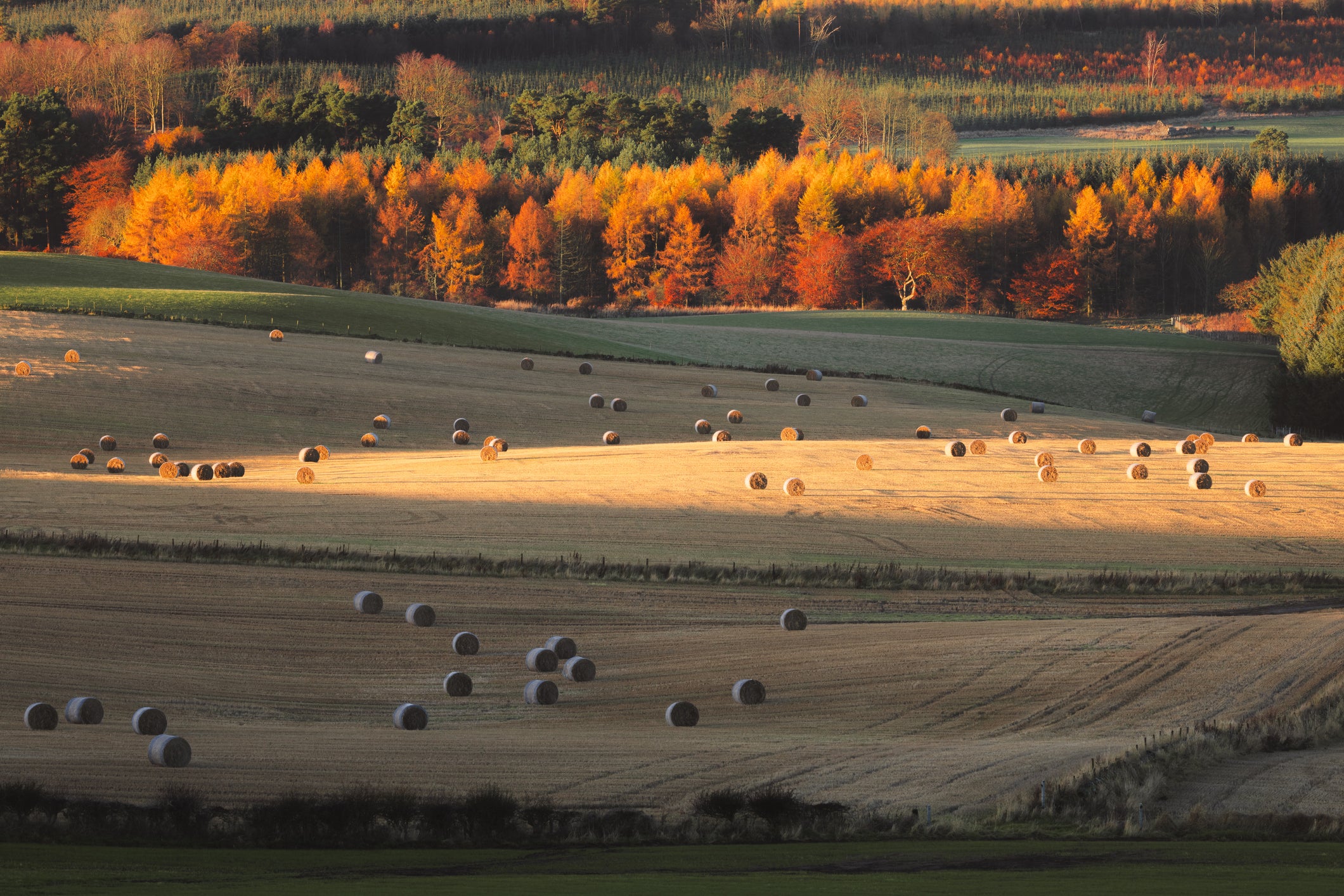 National Trust is expecting a long and colourful autumn