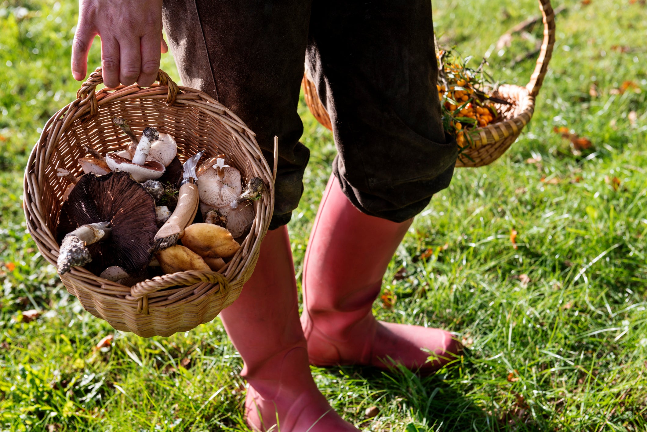 A good haul must still have minimal impacts on nature, foragers say