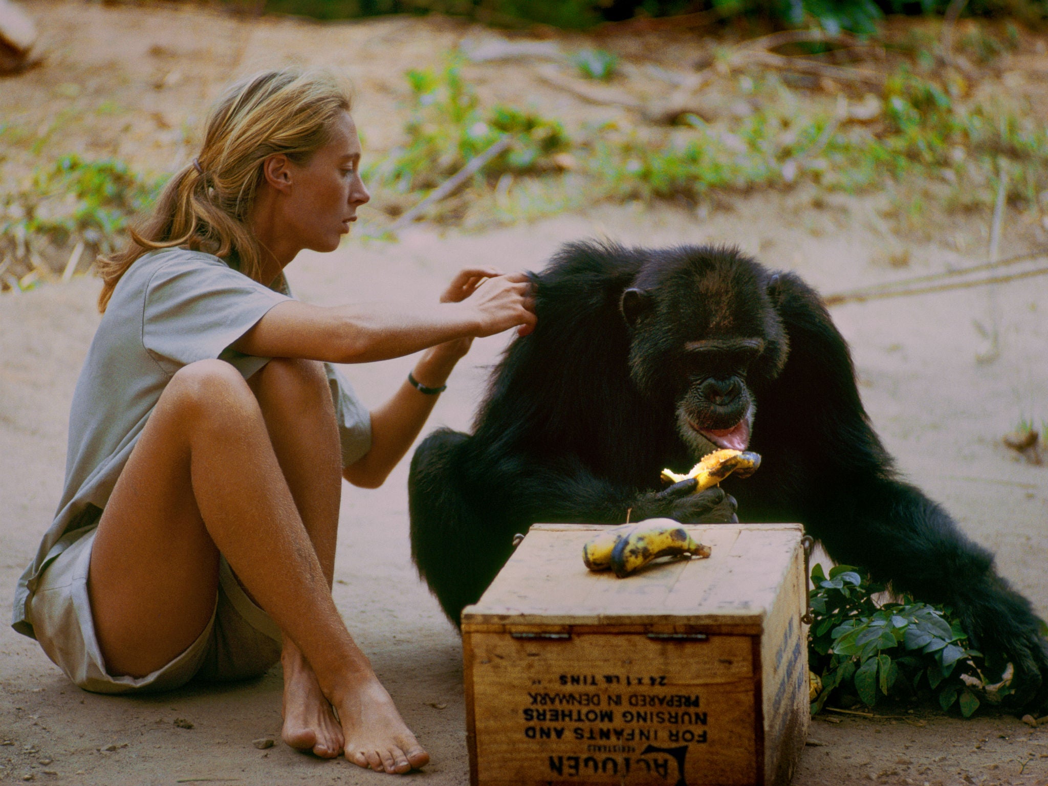 Jane Goodall in a scene from the documentary ‘Jane’